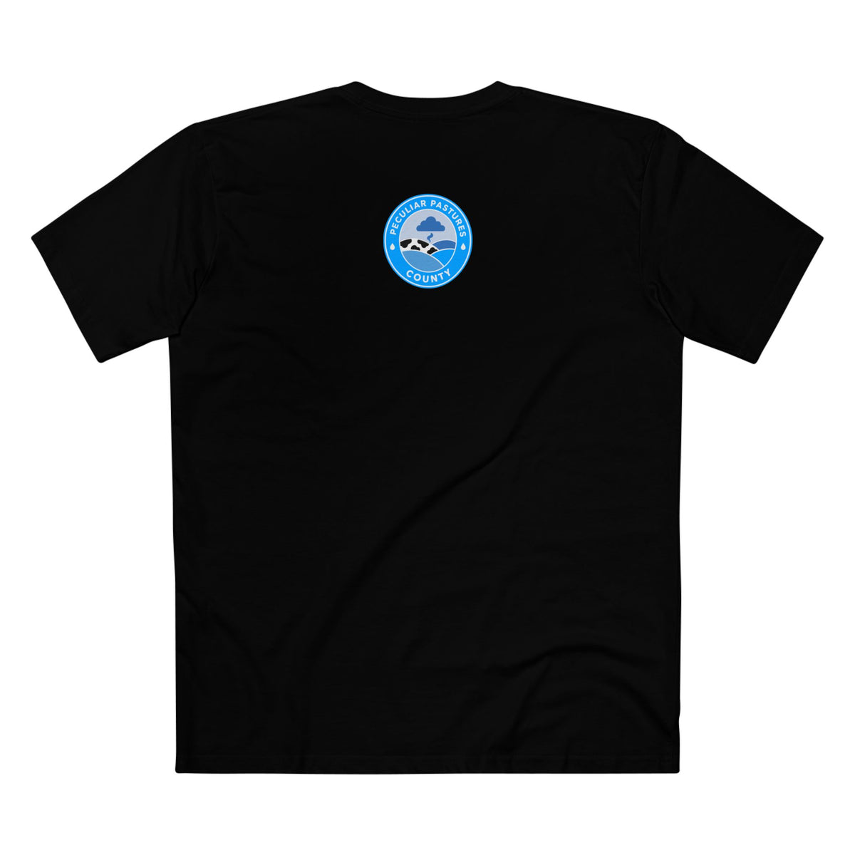 MLKFRTS Grade F Notice of Non-Compliance tee in Black, back view with the Peculiar Pastures County seal on the upper back